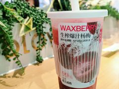 -树夏(来福士店)