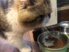 -参差咖啡(水果湖公园店)