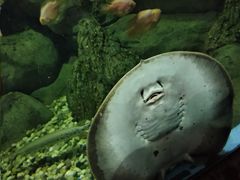 -苏州海洋馆