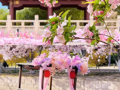 -元大都城垣遗址公园