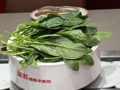 -龍歌自助小火锅(雨花台江南虹悦城店)