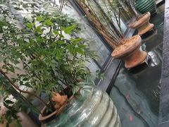 -旅马餐厅(茅家埠店)