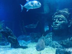 -暹罗海洋世界