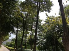 -灵玲国际马戏城
