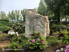 -莲花池公园