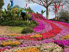 -东莞植物园