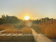 -中关村生命科学园