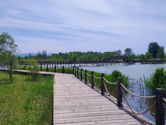 -野鸭湖国家湿地公园