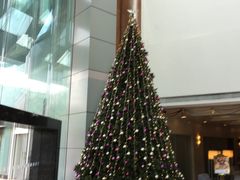 -粤财皇冠假日酒店·彩华轩中餐厅