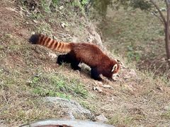 -济南野生动物世界