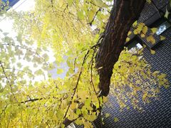 -四川大学(华西校区)