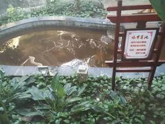 -哈尔滨太平湖温泉酒店