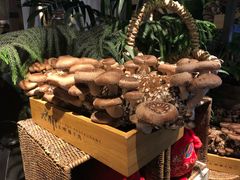 -大头椰·椰子鸡火锅(南宁万象城店)