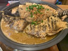 -鱼酷活鱼烤鱼(静安大融城店)