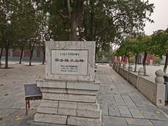 -赵州桥景区