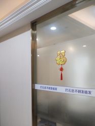 -碧莲盛·不剃发植发