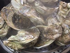 -蚝专家(北滘店)
