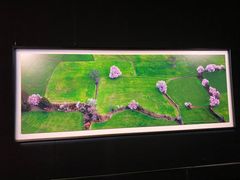 -罗红摄影艺术馆