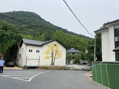 -莫干山风景区