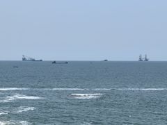 -广东惠东海龟国家级自然保护区