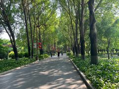 -长春公园(普阳街道)