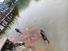 -鄱阳湖国家湿地公园