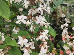 -北京植物园-展览温室