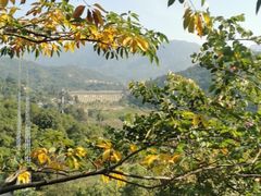 -金鸡山公园