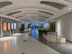-大世界影城(无锡江南大悦城IMAX激光店)