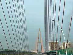 -一大糕点(纬六路店)