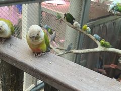 -正佳雨林生态植物园