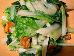 小白菜煎豆腐-廖川菜(太阳宫店)