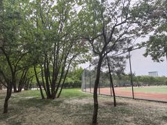 -五环公园