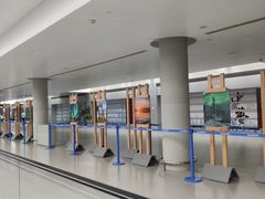 -上海浦东国际机场-T2航站楼