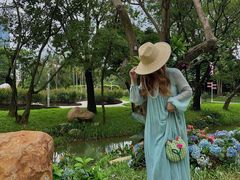 -人民公园(罗湖区)