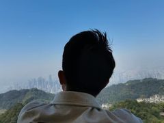 -大金鹰园