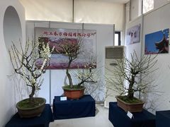 -无锡梅园公园