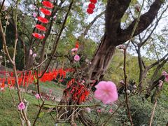 -桃花涧