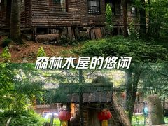 -五营国家森林公园