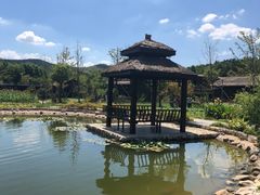 -石塘人家