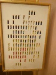 -彩虹之门健康管理