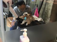 -PETKIT小佩宠物(昭化店)