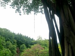 -广州雕塑公园