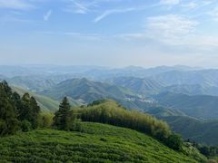 -莫干山风景区