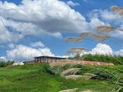 -良渚古城遗址公园