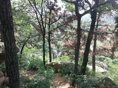 景点-沂蒙山旅游区云蒙景区(蒙山国家森林公园)