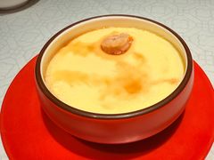 -大鸽饭(动物园店)