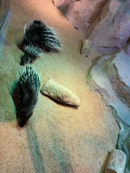 -酷嗒动物文化乐园(cutezoo西溪乐天城店)