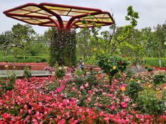 -春花秋色城市公园