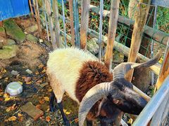 -粮心小农·大头虾亲子生态园(长发店)